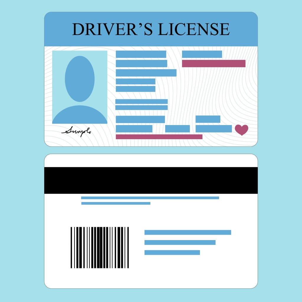 Illustration of driver's license front and back